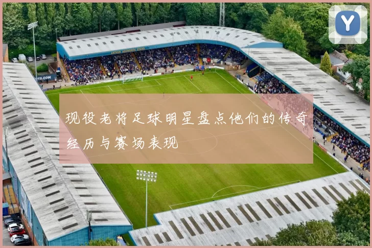 现役老将足球明星盘点他们的传奇经历与赛场表现