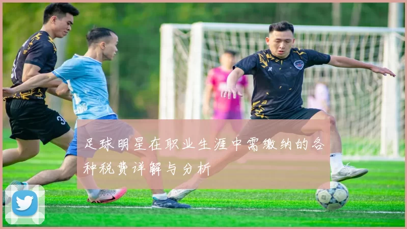 足球明星在职业生涯中需缴纳的各种税费详解与分析