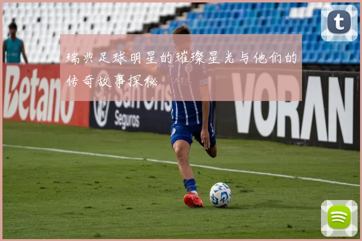 瑞典足球明星的璀璨星光与他们的传奇故事探秘