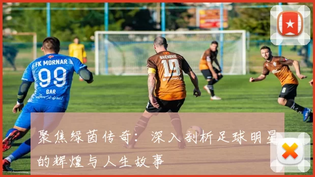 聚焦绿茵传奇：深入剖析足球明星的辉煌与人生故事