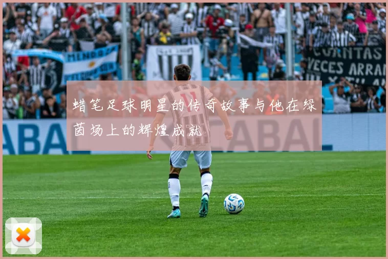 蜡笔足球明星的传奇故事与他在绿茵场上的辉煌成就