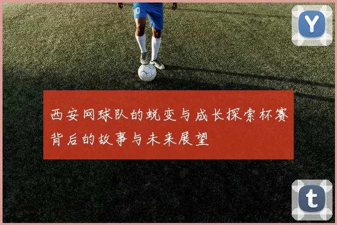 西安网球队的蜕变与成长探索杯赛背后的故事与未来展望