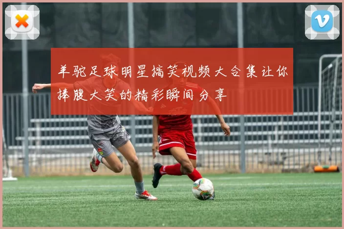 羊驼足球明星搞笑视频大合集让你捧腹大笑的精彩瞬间分享
