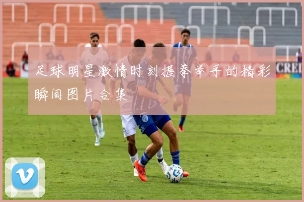 足球明星激情时刻握拳举手的精彩瞬间图片合集