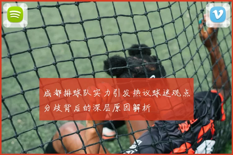 成都排球队实力引发热议球迷观点分歧背后的深层原因解析