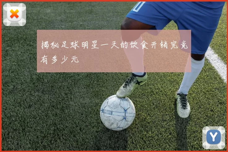 揭秘足球明星一天的饮食开销究竟有多少元
