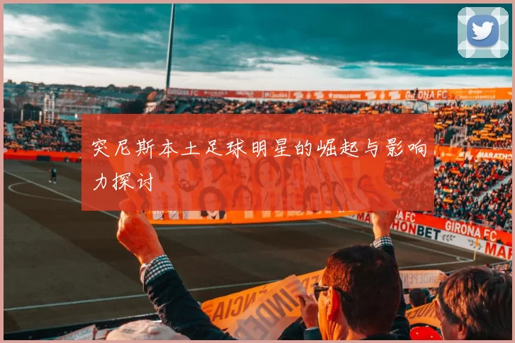 突尼斯本土足球明星的崛起与影响力探讨
