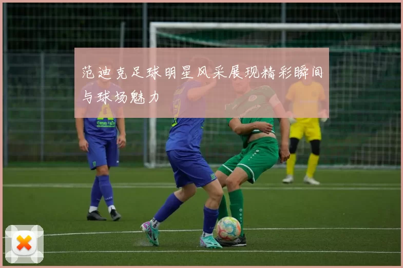 范迪克足球明星风采展现精彩瞬间与球场魅力