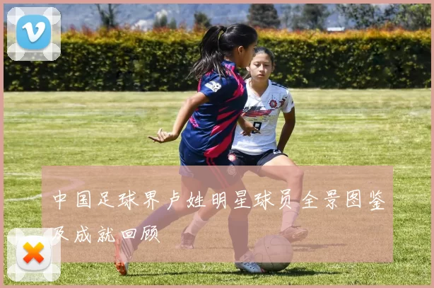 中国足球界卢姓明星球员全景图鉴及成就回顾