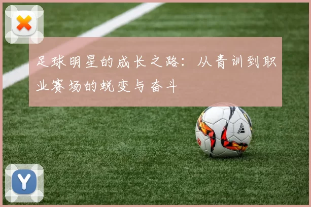 足球明星的成长之路：从青训到职业赛场的蜕变与奋斗