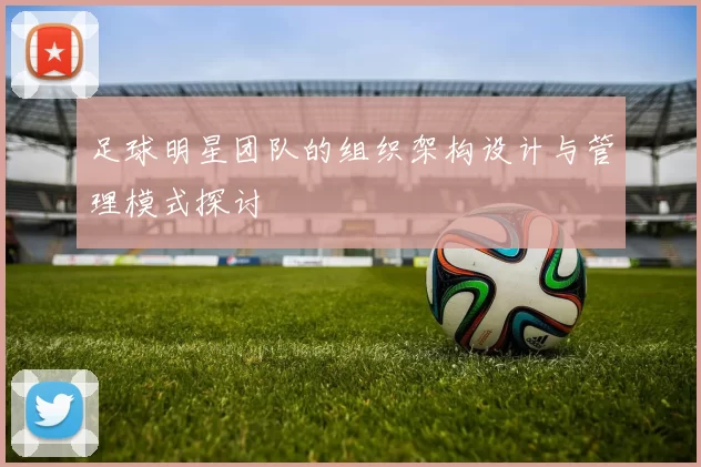 足球明星团队的组织架构设计与管理模式探讨