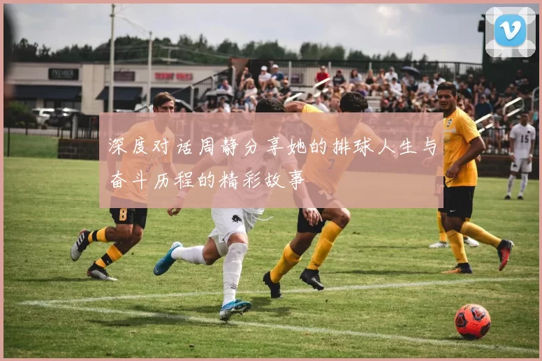 深度对话周静分享她的排球人生与奋斗历程的精彩故事